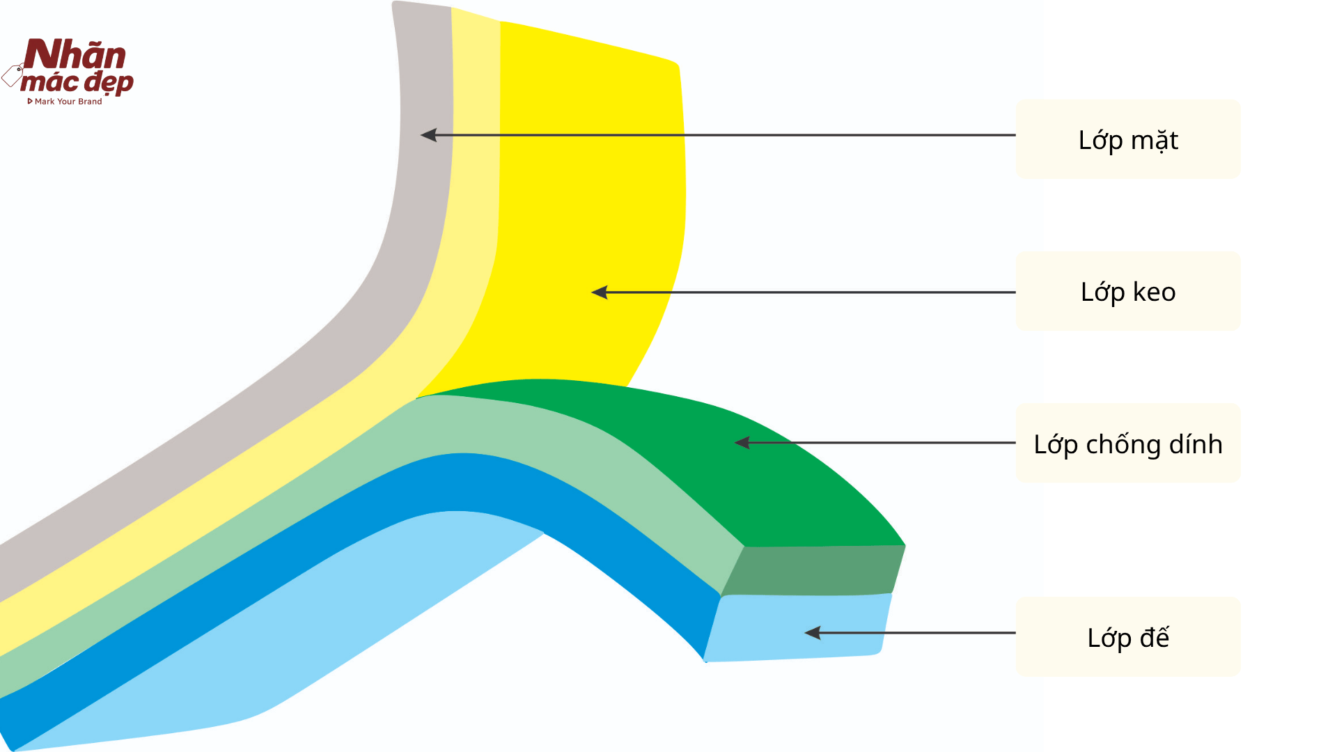 Cấu tạo decal giấy Cấu tạo decal giấy