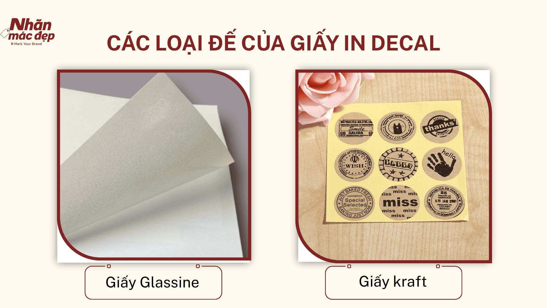 Các loại đế của giấy in decal giấy Các loại đế của giấy in decal giấy