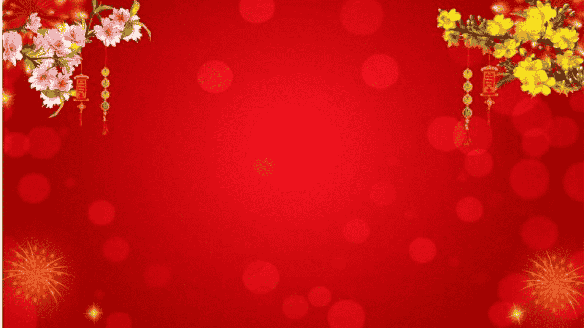 Background hoa mai hoa đào 7 Background hoa mai hoa đào 7