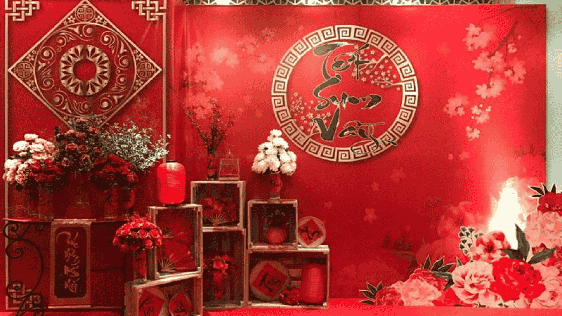 Background hoa mai hoa đào 6 Background hoa mai hoa đào 6