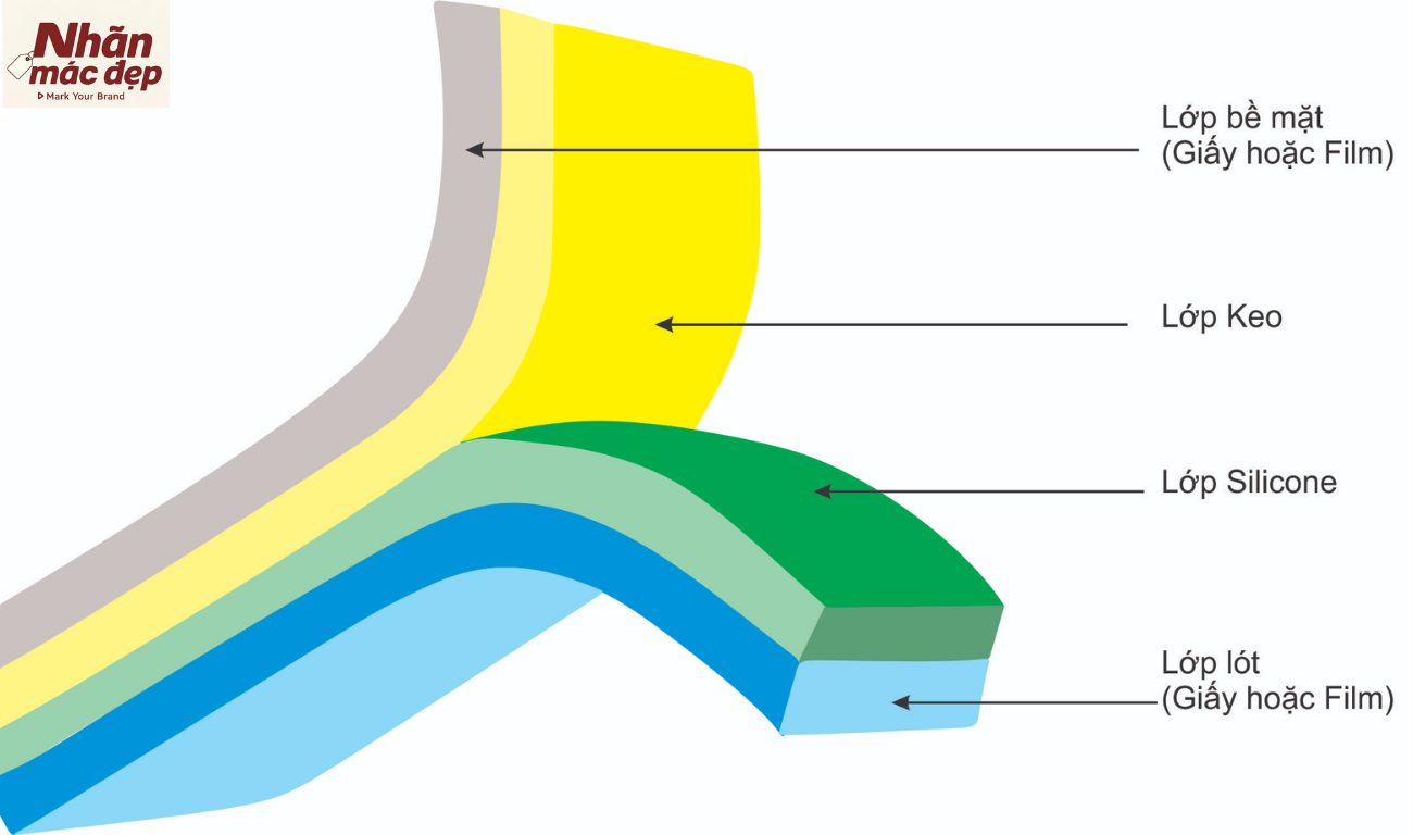Cấu tạo tem nhãn mỹ phẩm Cấu tạo tem nhãn mỹ phẩm