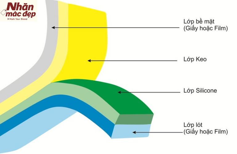 Nhãn Mác Đẹp Asia