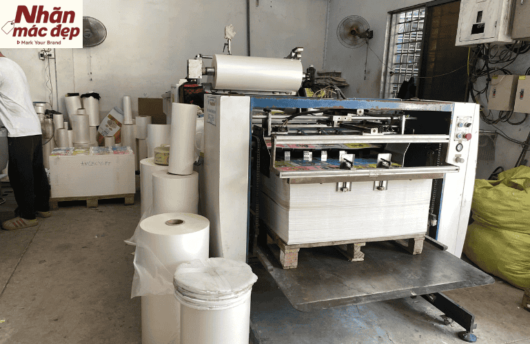 Nhãn Mác Đẹp Asia