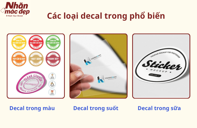 Nhãn Mác Đẹp Asia