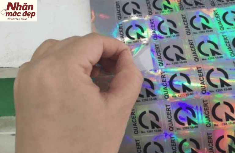 Nhãn Mác Đẹp Asia