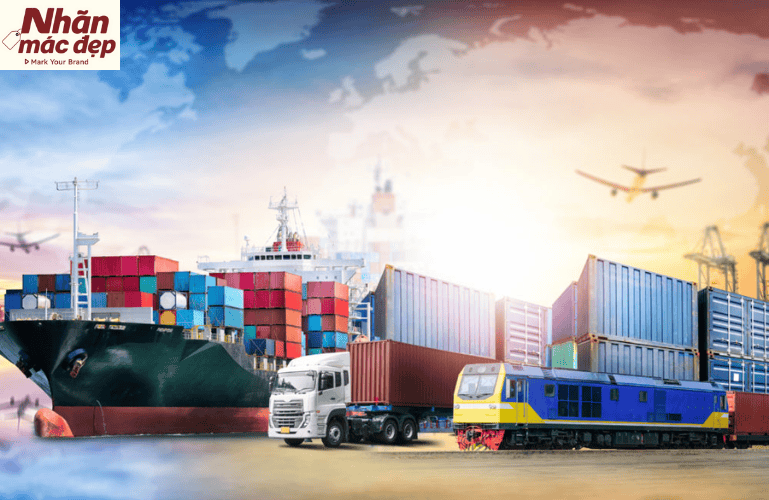 Nhãn Mác Đẹp Asia