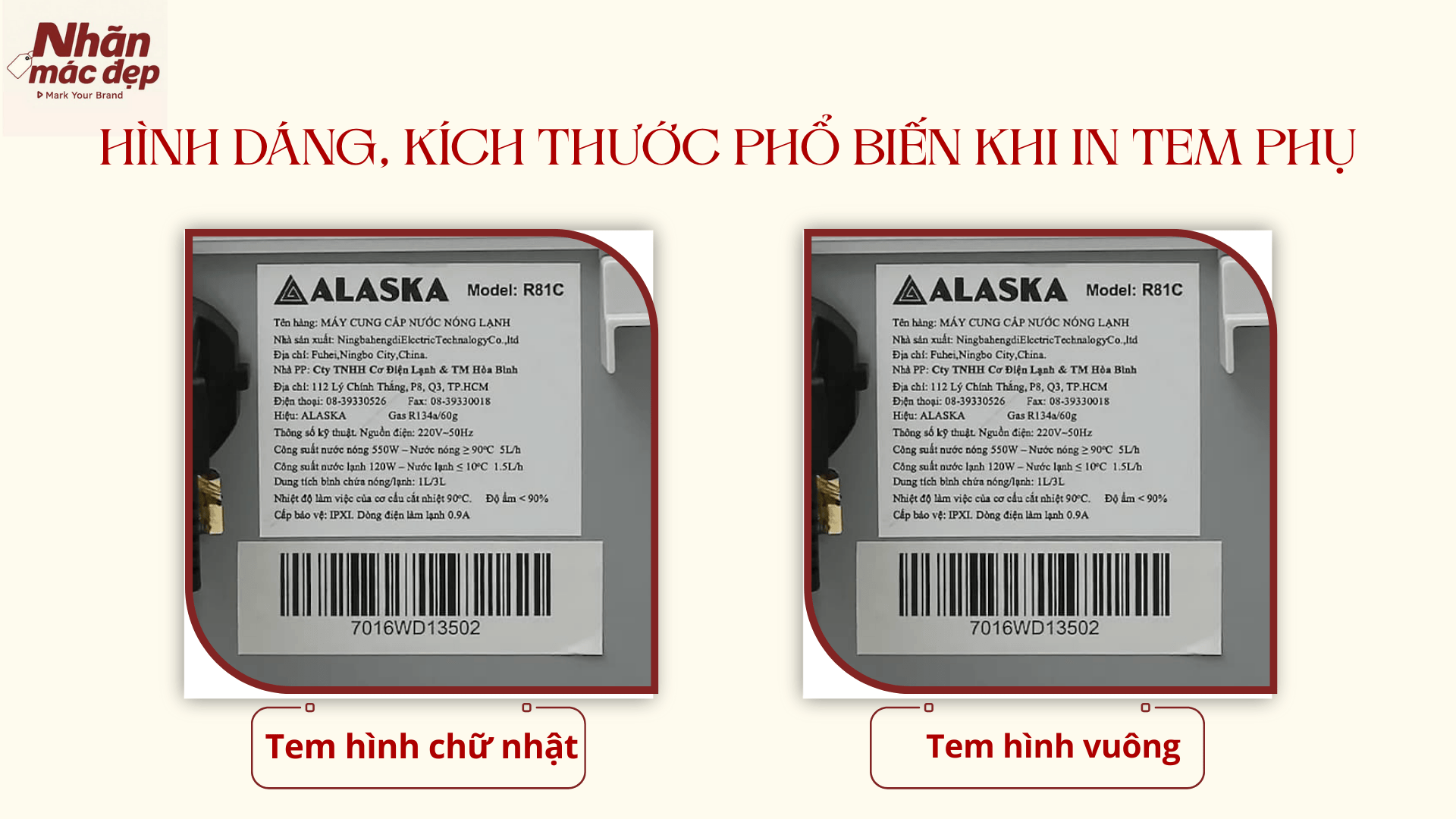 Kích thước, hình dáng phổ biến Kích thước, hình dáng phổ biến