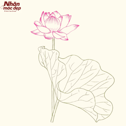 Mẫu logo hoa sen 8 Mẫu logo hoa sen 8