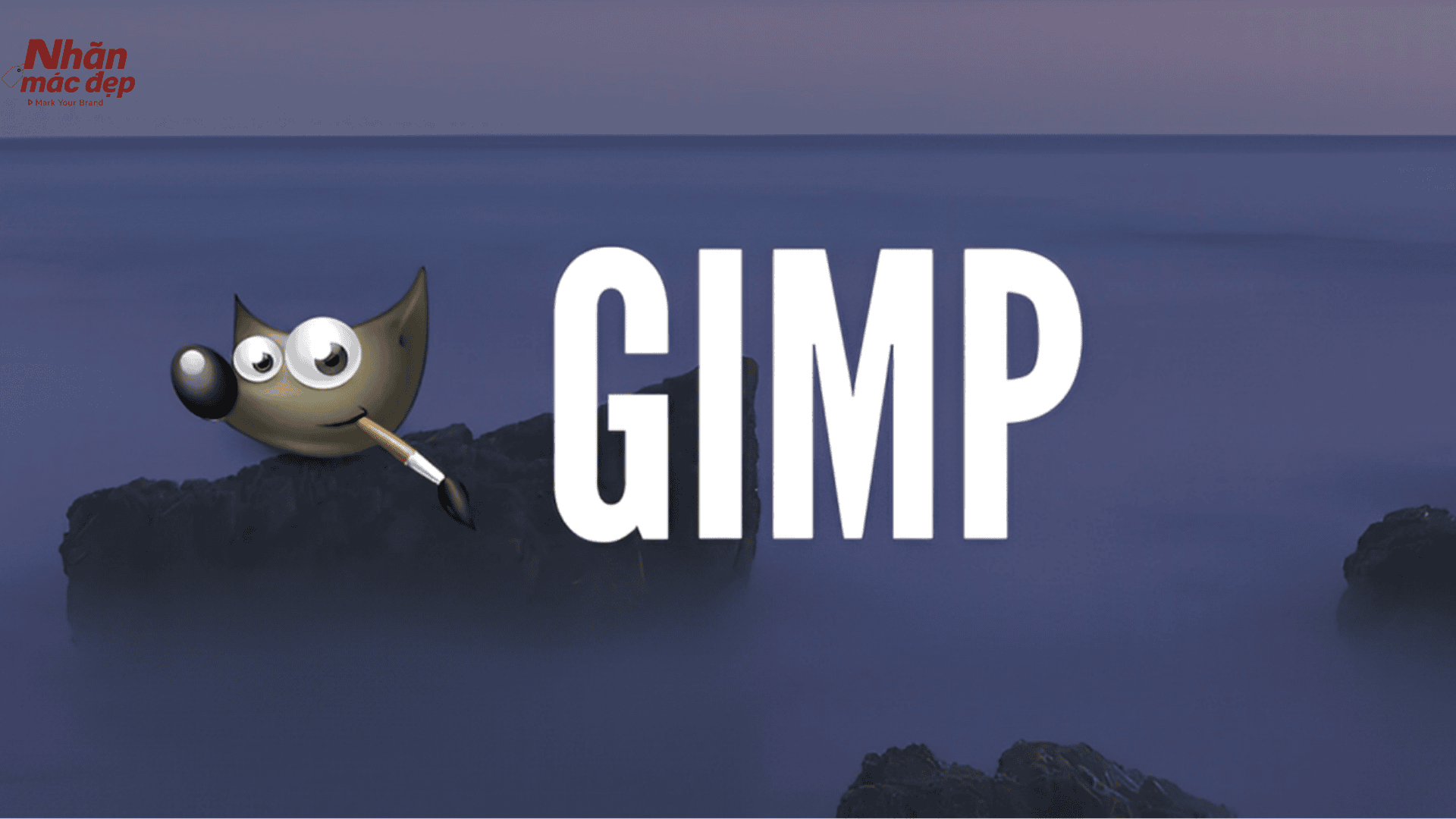 GIMP GIMP
