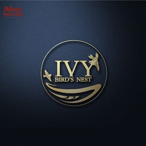 Mẫu logo yến sào 12 Mẫu logo yến sào 12