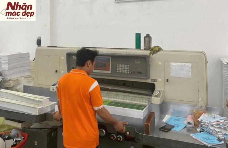 Nhãn Mác Đẹp Asia