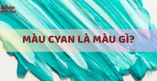 Màu Cyan Là Màu Gì? Nguyên Tắc Phối, Ứng Dụng Trong In Ấn