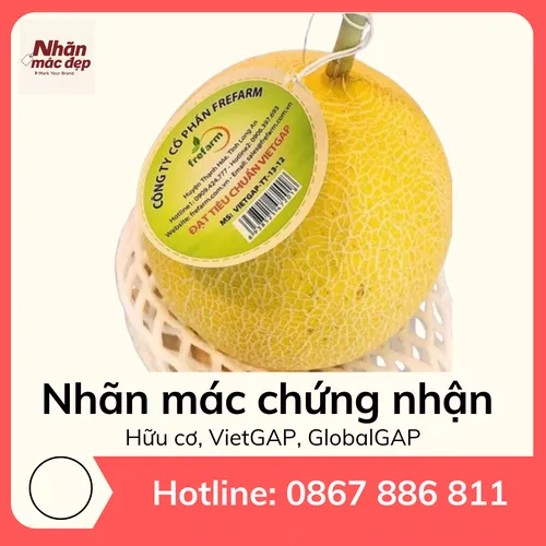Nhãn Mác Chứng Nhận Hữu Cơ - Đảm Bảo An Toàn Cho Sức Khỏe