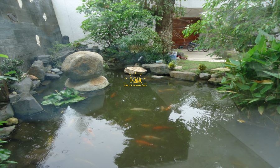 Hồ cá Coi
