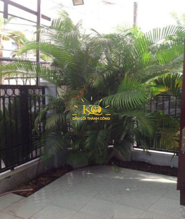 Khuôn viên sân nhà với nhiều cây cảnh Khuôn viên sân nhà với nhiều cây cảnh