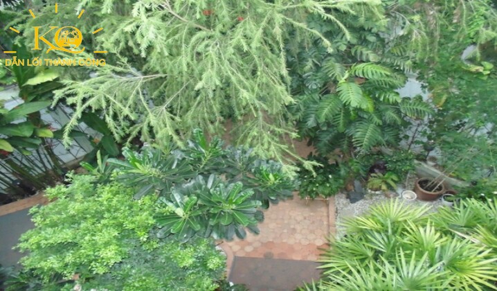 Một khoảng sân với nhiều cây xanh Một khoảng sân với nhiều cây xanh