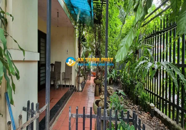 Cho thuê biệt thự kinh doanh mặt tiền đường Nguyễn Văn Hưởng phường Thảo Điền