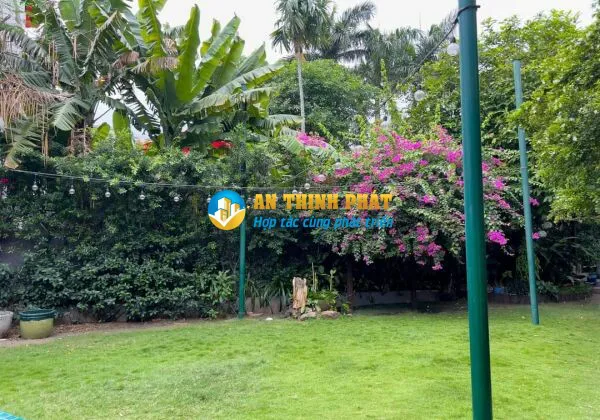 CHO THUÊ BIỆT THỰ 146 NGUYỄN VĂN HƯỞNG SÂN VƯỜN RỘNG