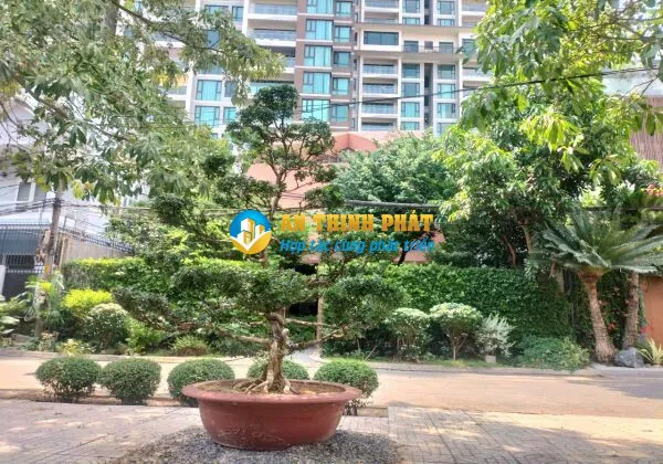 CHO THUÊ BIỆT THỰ 215 NGUYỄN VĂN HƯỞNG CÂY CỐI XANH MÁT