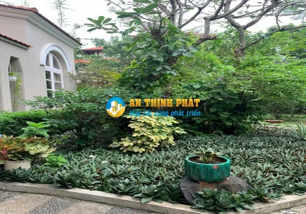 CHO THUÊ BIỆT THỰ SÂN VƯỜN QUẬN 2 COMPOUND AN NINH