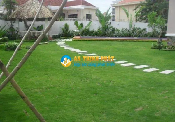 THUÊ BIỆT THỰ THẢO ĐIỀN SÂN VƯỜN RỘNG RẤT HỢP NUÔI THÚ CƯNG