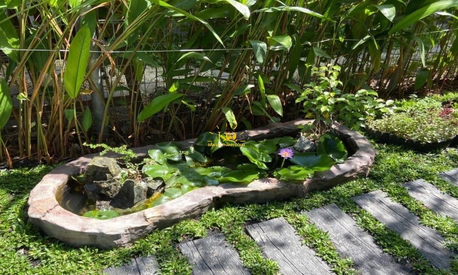 Phòng khách sang trọng