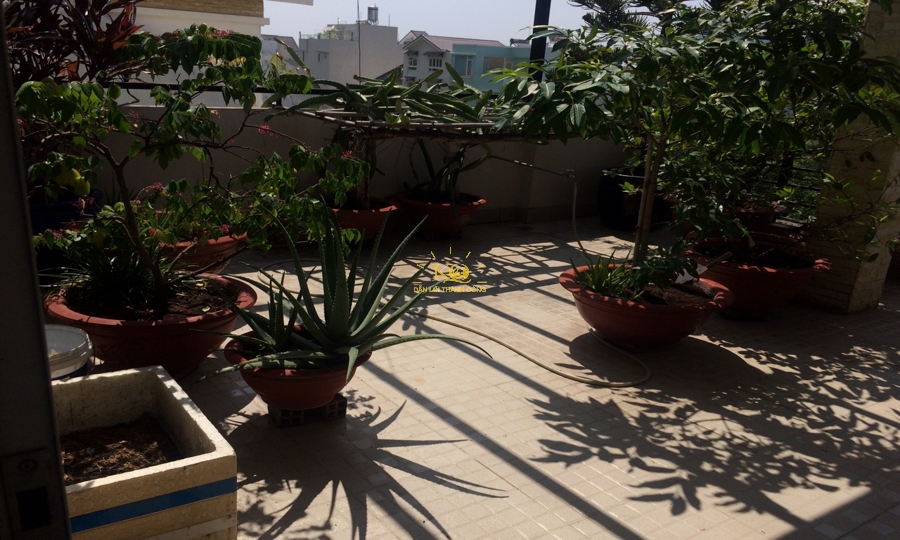 Sân thượng rộng thoáng, nhiều cây cảnh. Sân thượng rộng thoáng, nhiều cây cảnh.