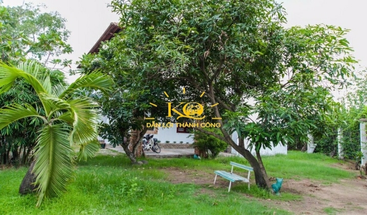 Nhà có sân vườn rộng, nhiều cây xanh. Nhà có sân vườn rộng, nhiều cây xanh.