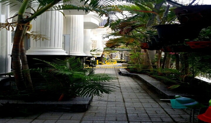 Nhiều cây xanh mát Nhiều cây xanh mát