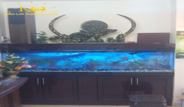 Hồ cá trong nhà Hồ cá trong nhà