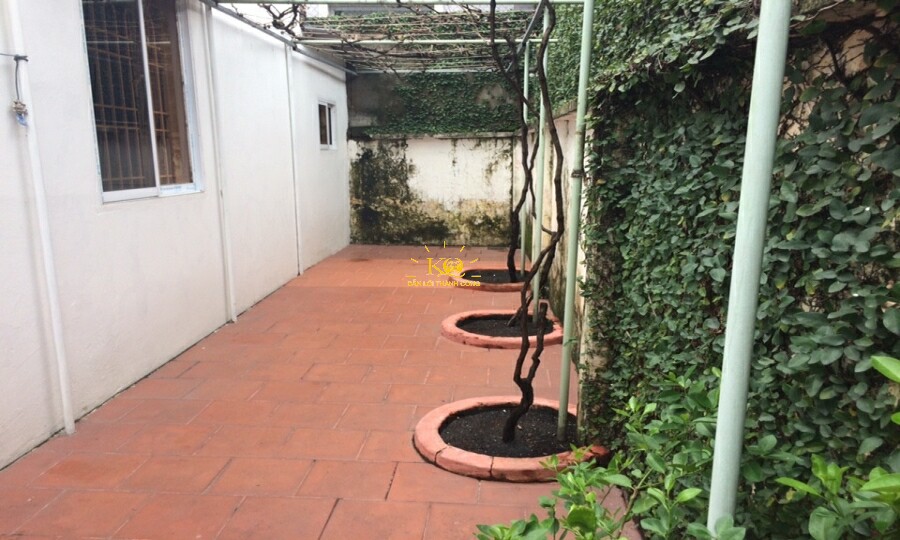 Bên hông nhà có nhiều dây leo xanh mát. Bên hông nhà có nhiều dây leo xanh mát.