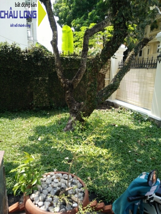 Sân vườn Sân vườn