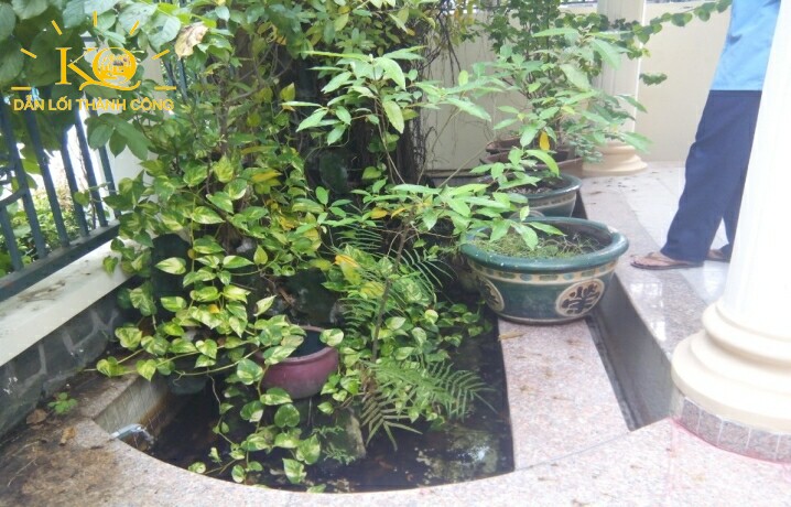 Khuôn viên xung quanh nhà Khuôn viên xung quanh nhà