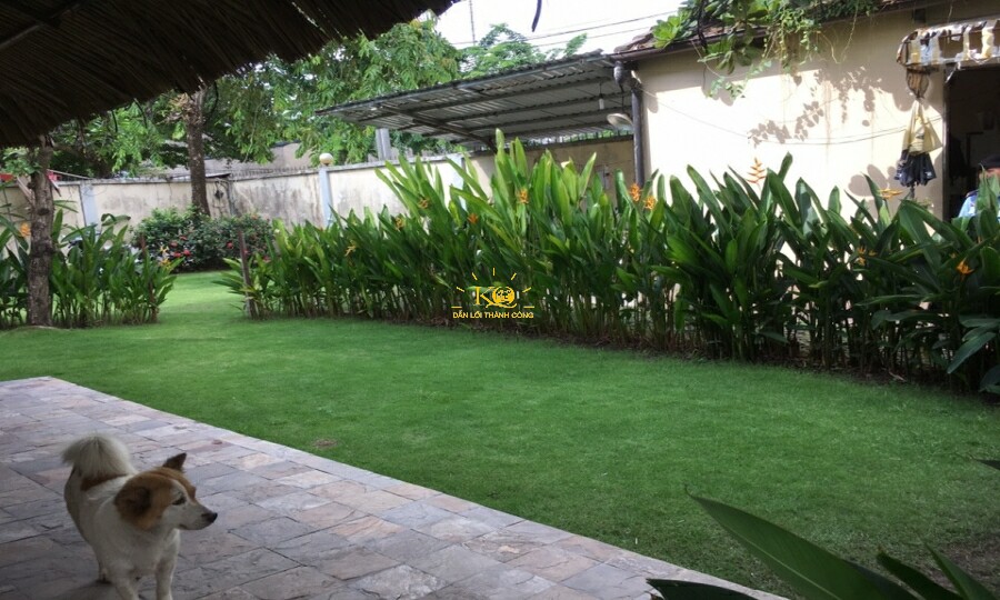 Không khí trong lành tạo cảm giác thoải mái khi ở. Không khí trong lành tạo cảm giác thoải mái khi ở.