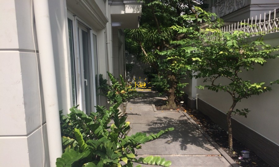 Bên hông nhà cho thuê quận 2 rộng nhiều cây xanh. Bên hông nhà cho thuê quận 2 rộng nhiều cây xanh.