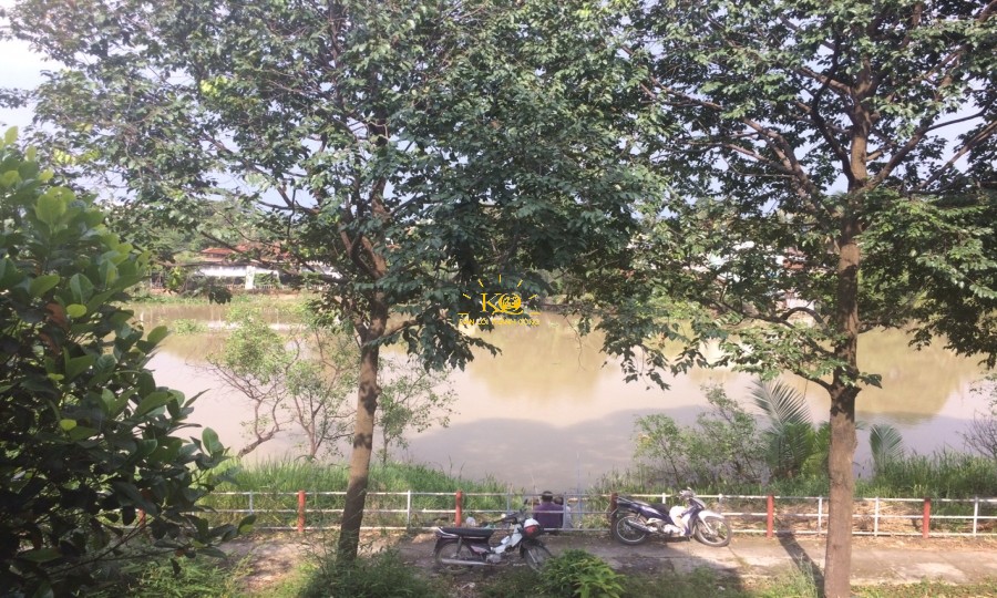 Hình ảnh nhìn ra bờ sông đẹp, thoáng mát. Hình ảnh nhìn ra bờ sông đẹp, thoáng mát.