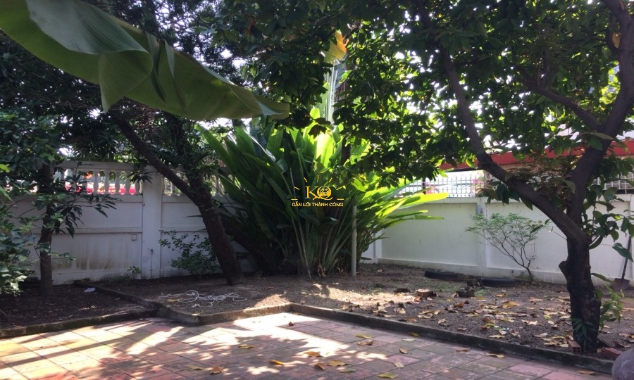 Sân vườn rộng nhiều loại cây ăn trái, không gian sống lý tưởng. Sân vườn rộng nhiều loại cây ăn trái, không gian sống lý tưởng.