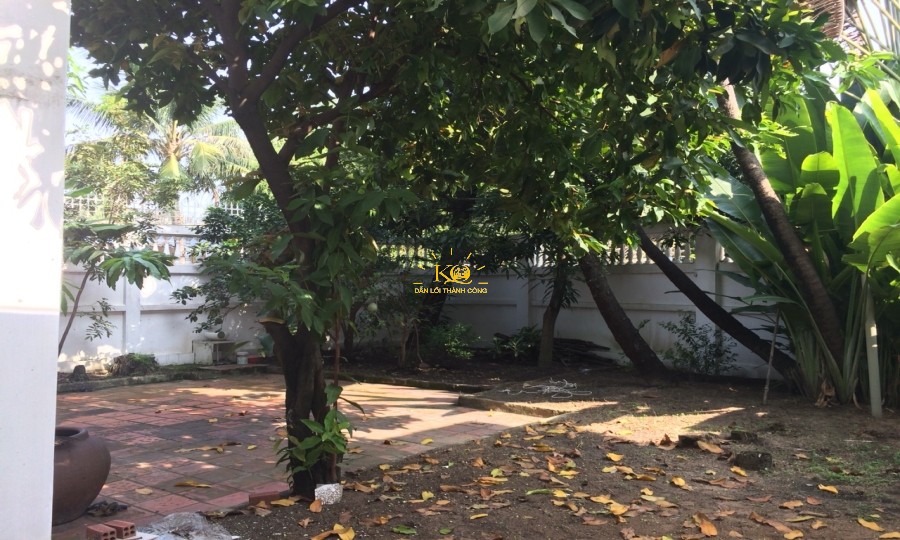 Sân vườn nhà cho thuê rộng nhiều cây ăn trái, tạo bóng mát toàn ngôi nhà. Sân vườn nhà cho thuê rộng nhiều cây ăn trái, tạo bóng mát toàn ngôi nhà.