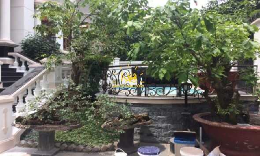 Với những cây kiểng đẹp. Với những cây kiểng đẹp.