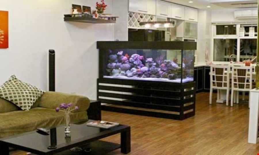 Trưng bày bể cá trong nhà và văn phòng để tích trữ nguồn năng lượng tốt bên cạnh Trưng bày bể cá trong nhà và văn phòng để tích trữ nguồn năng lượng tốt bên cạnh