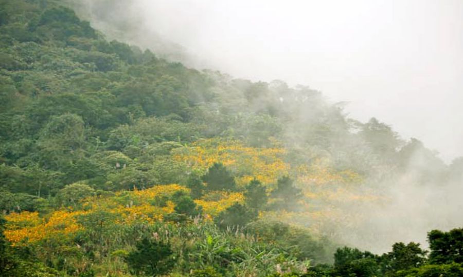 Kiêng xây nhà ở chân núi và đầu hẻm núi Kiêng xây nhà ở chân núi và đầu hẻm núi