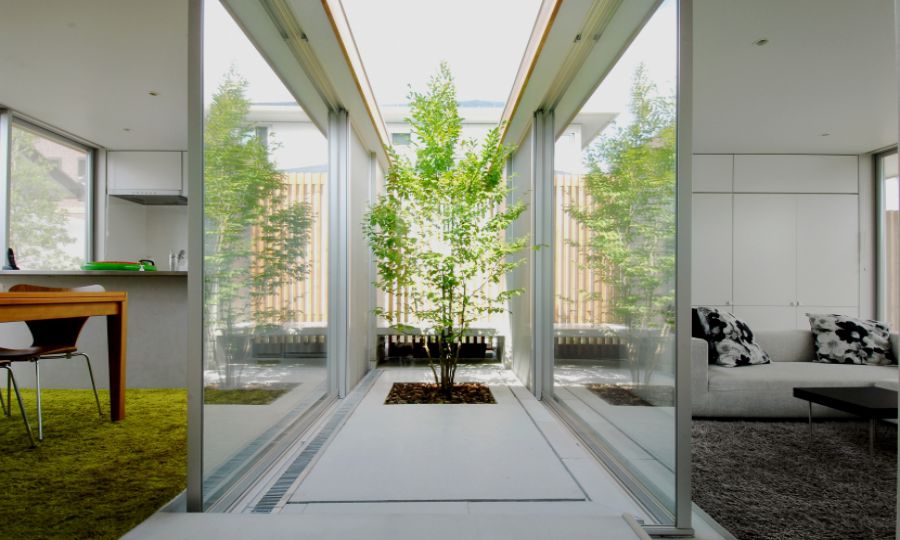 Giếng trời là một trong xu hướng xây dựng nhà phố đang rất phát triển hiện nay Giếng trời là một trong xu hướng xây dựng nhà phố đang rất phát triển hiện nay