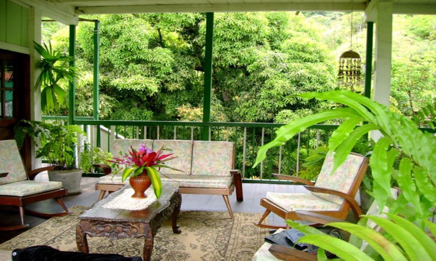 Đưa thiên nhiên vào nhà. Đưa thiên nhiên vào nhà.