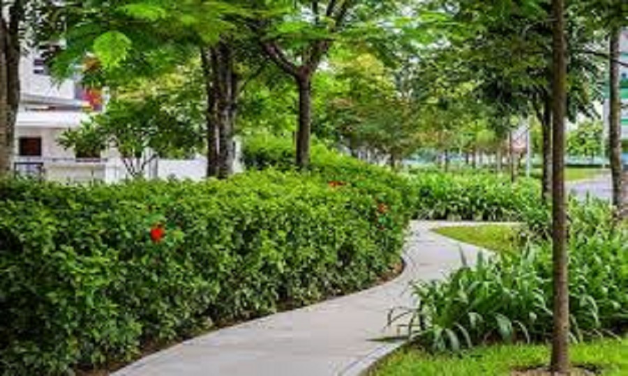 Không gian sống xanh, thân thiện với môi trường   Không gian sống xanh, thân thiện với môi trường