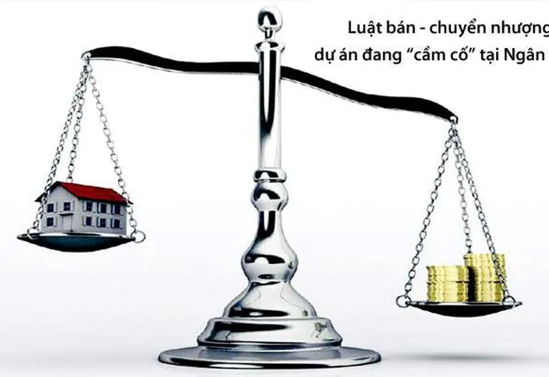 DANH SÁCH CÁC DỰ ÁN TẠI TPHCM THẾ CHẤP NGÂN HÀNG