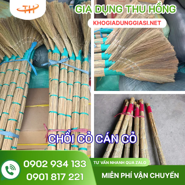 Chi tiết các phần của chổi cỏ Chi tiết các phần của chổi cỏ