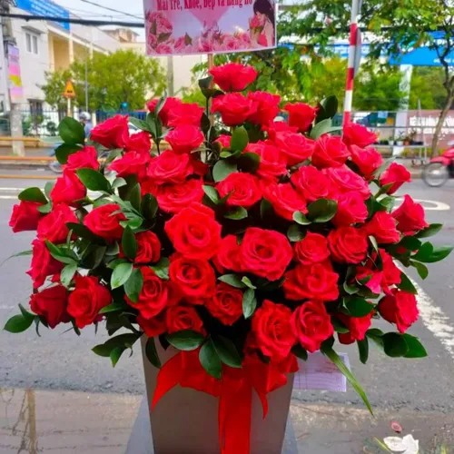 Hoa Mừng Ngày Sinh Nhật 20