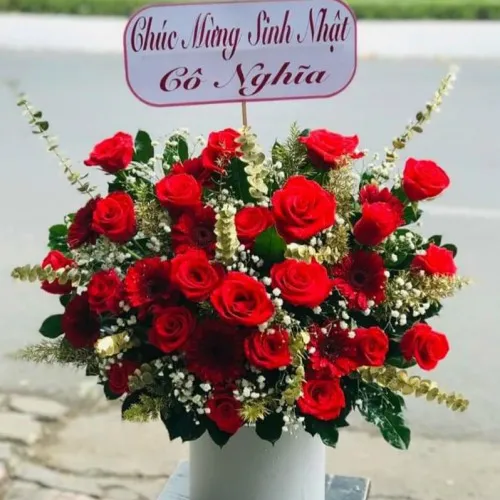 Hoa Mừng Ngày Sinh Nhật 21