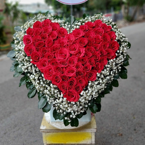 Hoa Mừng Ngày Sinh Nhật 66