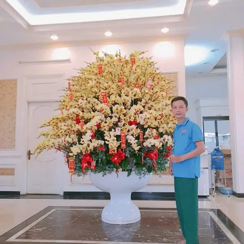 Chậu Lan vàng Hải Phòng 23